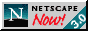 netsc.gif (680 byte)